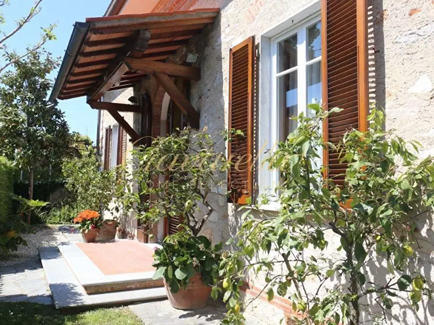 Immagine 6 di Villa in affitto  a Forte Dei Marmi