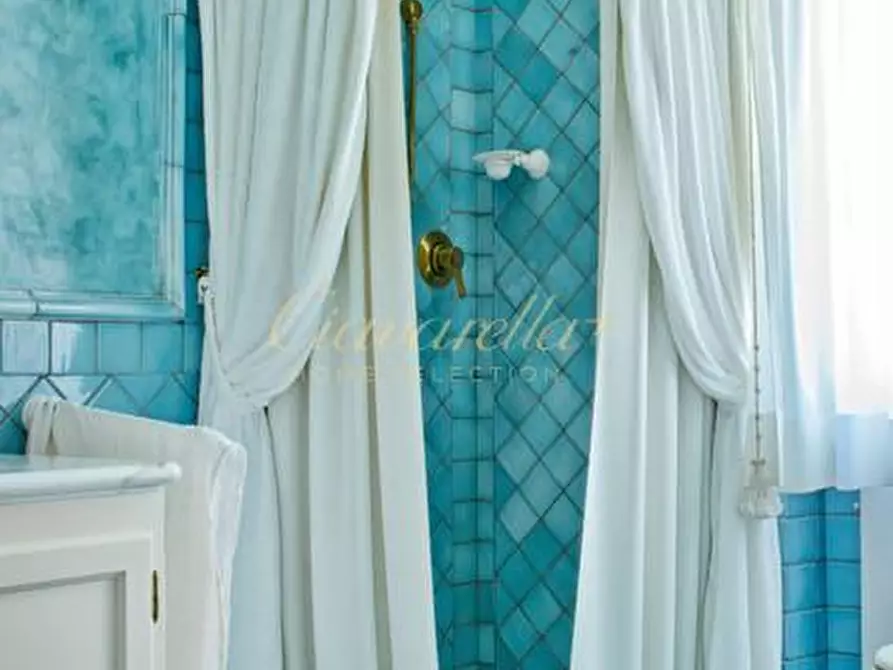 Immagine 6 di Villa in vendita  a Forte Dei Marmi