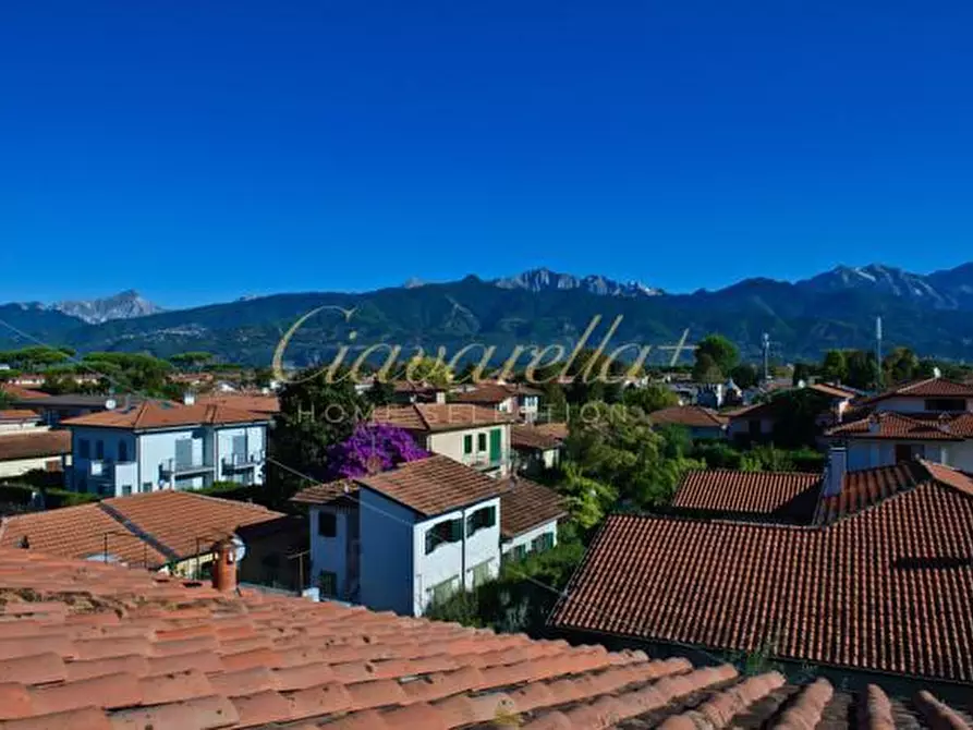 Immagine 16 di Villa in vendita  a Forte Dei Marmi