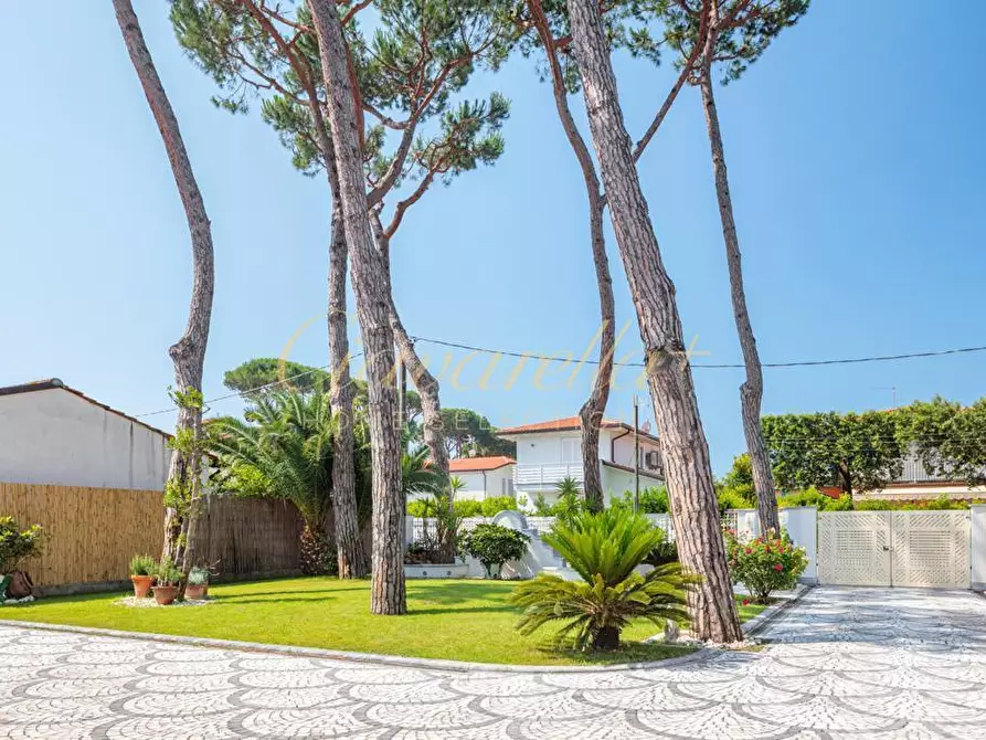Immagine 27 di Villa in vendita  a Forte Dei Marmi
