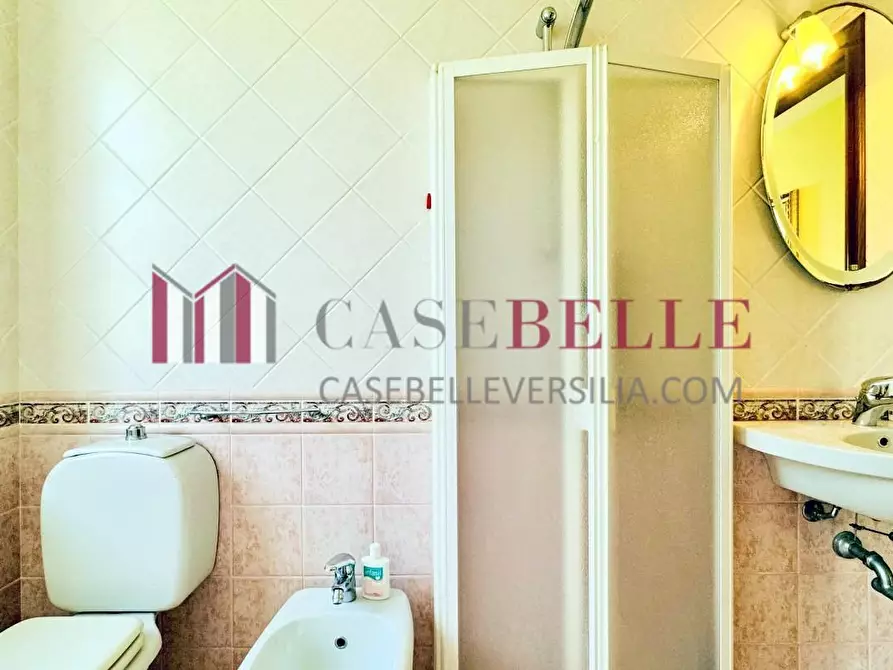 Immagine 14 di Villa in vendita  a Pietrasanta