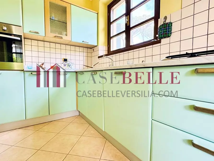 Immagine 11 di Villa in vendita  a Pietrasanta