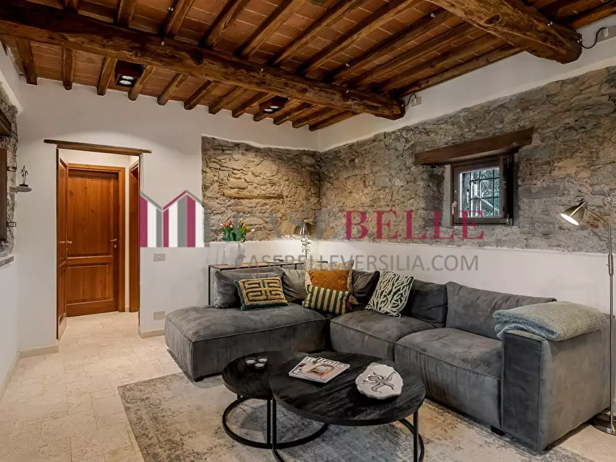 Immagine 28 di Casa colonica in affitto  a Pietrasanta