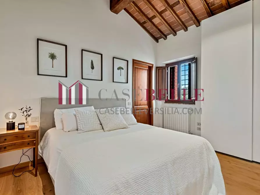 Immagine 15 di Casa colonica in affitto  a Pietrasanta