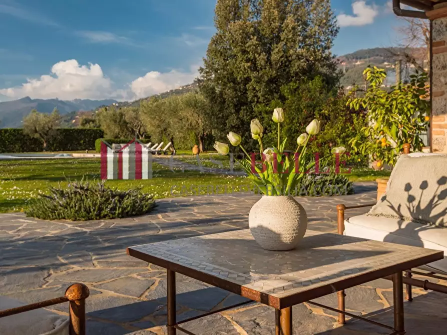 Immagine 5 di Casa colonica in affitto  a Pietrasanta