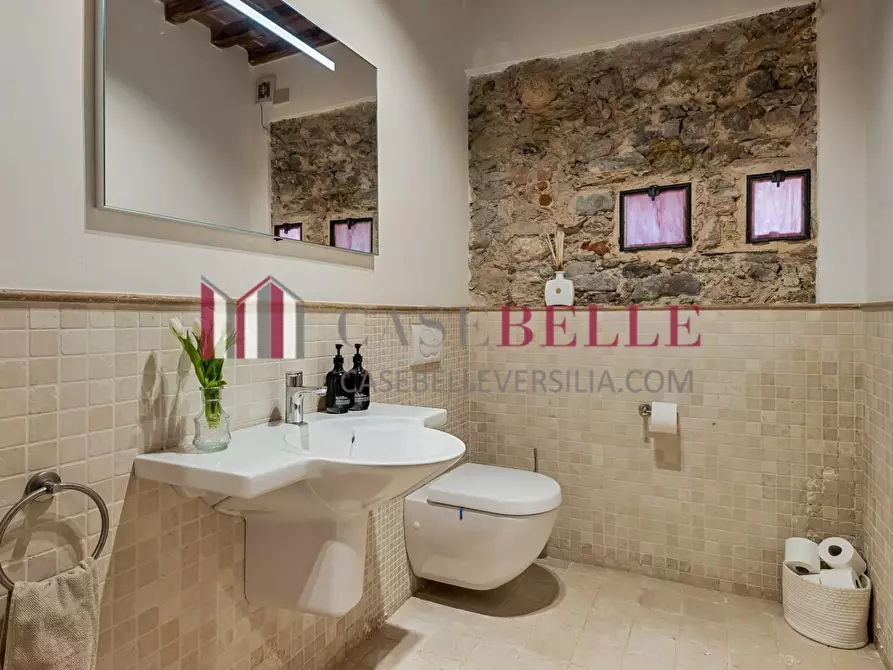 Immagine 37 di Casa colonica in affitto  a Pietrasanta