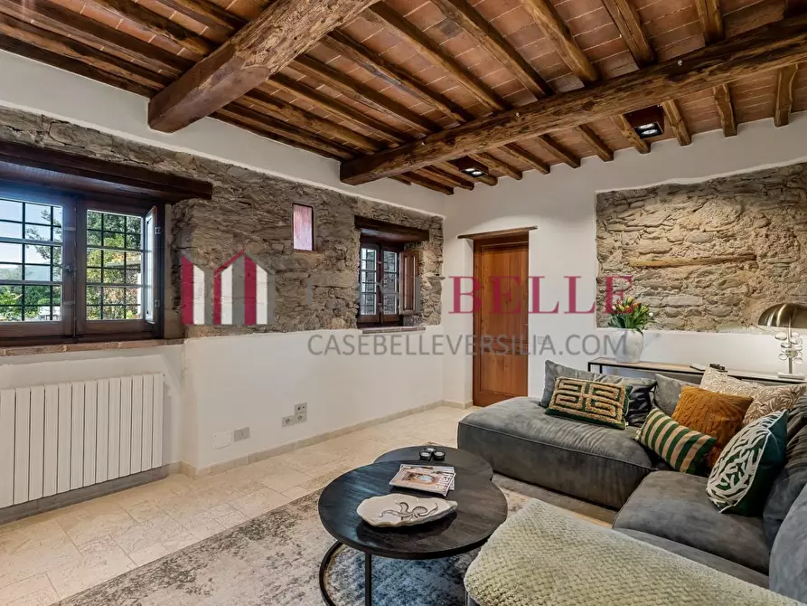 Immagine 32 di Casa colonica in affitto  a Pietrasanta