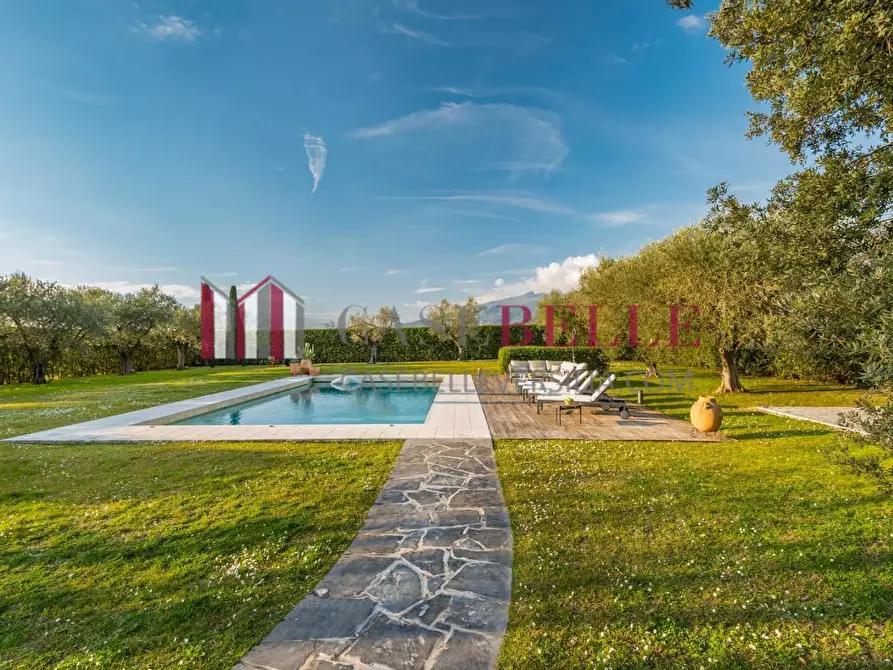 Immagine 20 di Casa colonica in affitto  a Pietrasanta