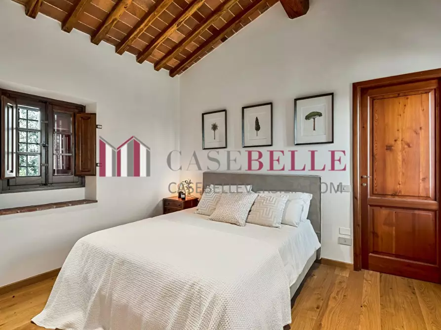 Immagine 14 di Casa colonica in affitto  a Pietrasanta