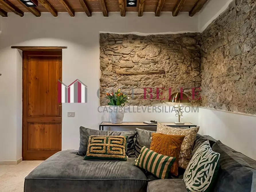 Immagine 30 di Casa colonica in affitto  a Pietrasanta