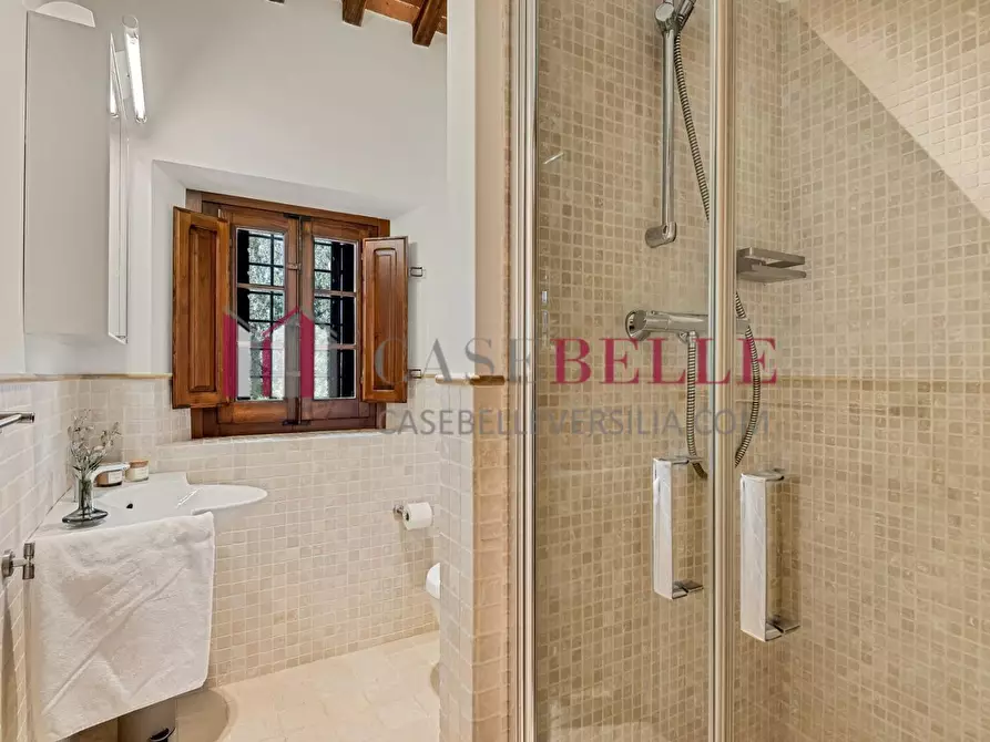 Immagine 24 di Casa colonica in affitto  a Pietrasanta