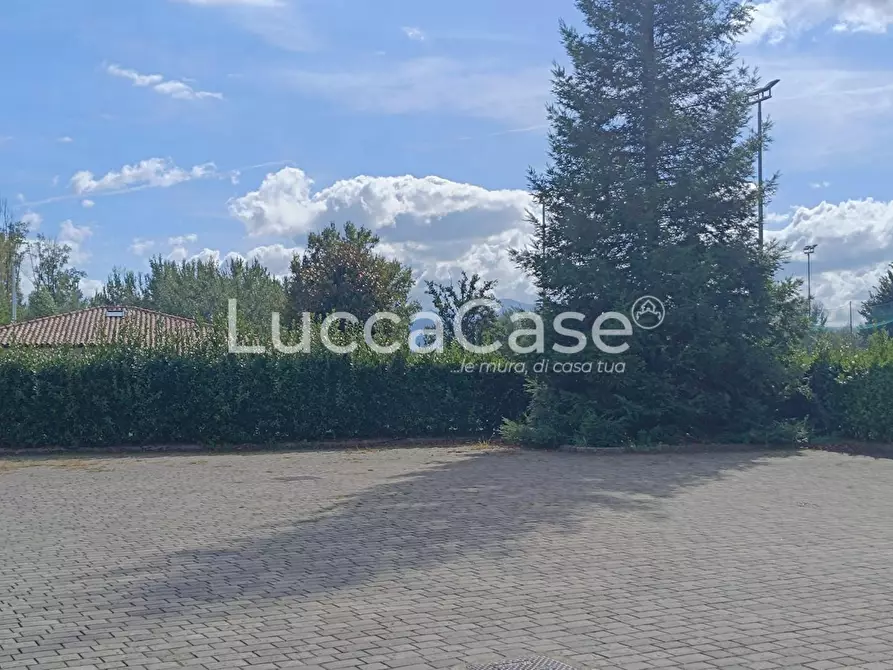 Immagine 21 di Negozio in affitto  a Capannori