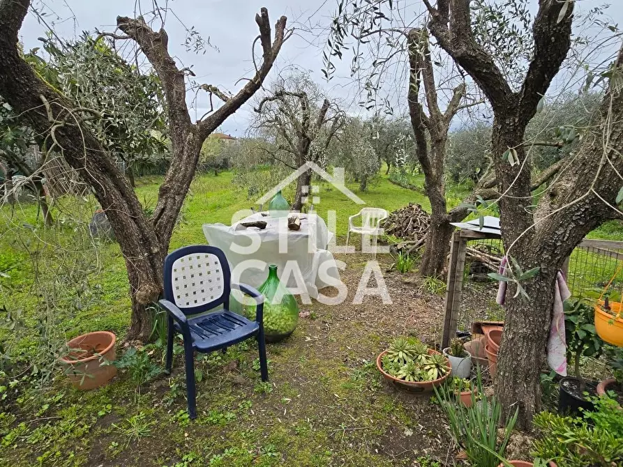 Immagine 10 di Terratetto in vendita  a Castelfranco Di Sotto