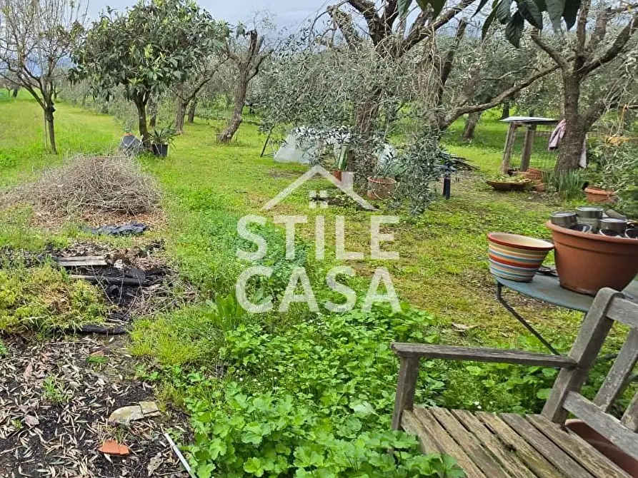 Immagine 32 di Terratetto in vendita  a Castelfranco Di Sotto