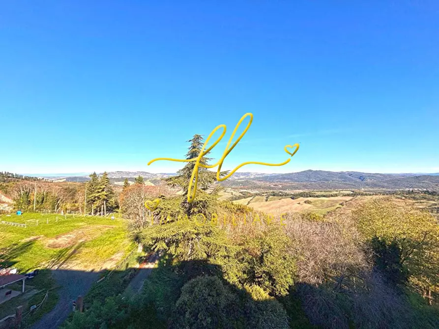 Immagine 31 di Appartamento in vendita  a Pomarance