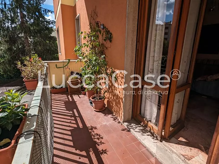 Immagine 7 di Appartamento in vendita  a Lucca