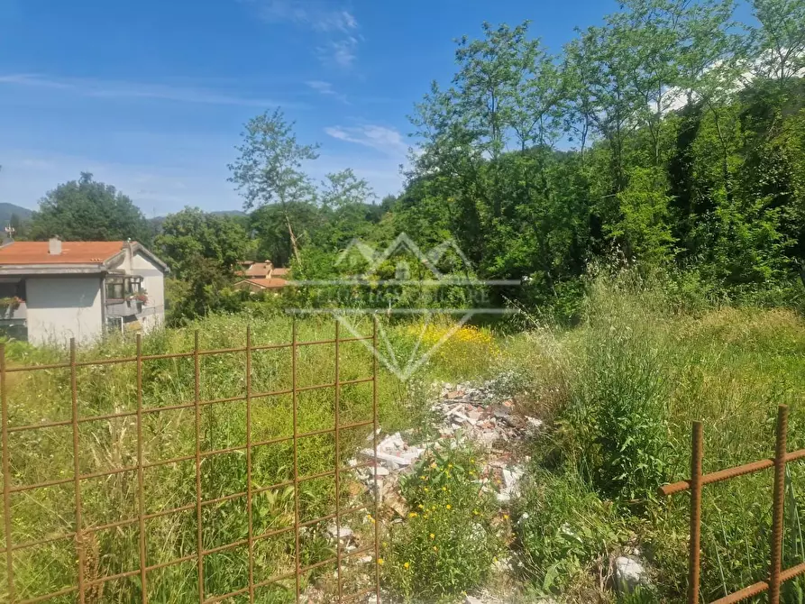 Immagine 3 di Terreno agricolo in vendita  a Carrara