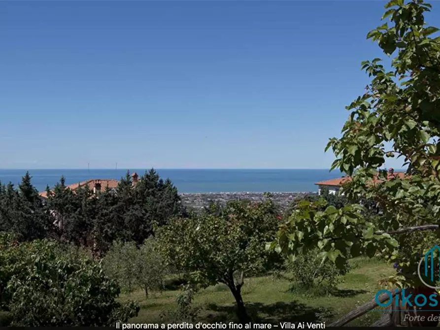 Immagine 18 di Villa in vendita  a Massarosa