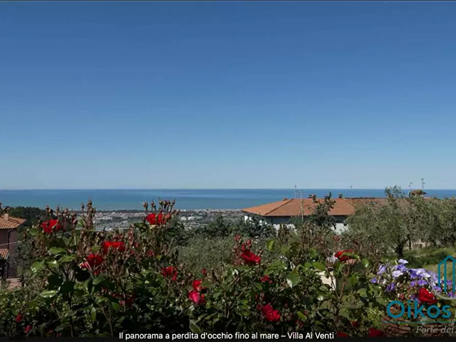 Immagine 16 di Villa in vendita  a Massarosa