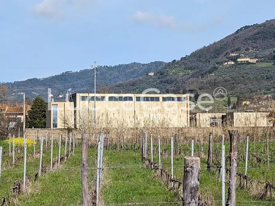 Immagine 3 di Attività artigianale in affitto  a Lucca
