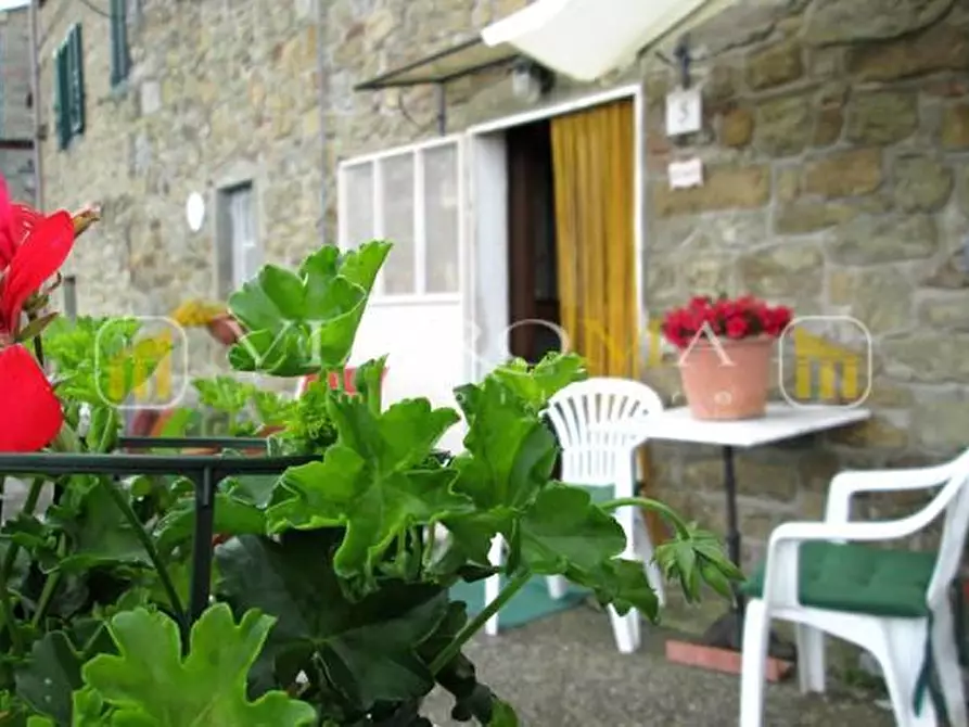 Immagine 38 di Terratetto in vendita  a Pescia