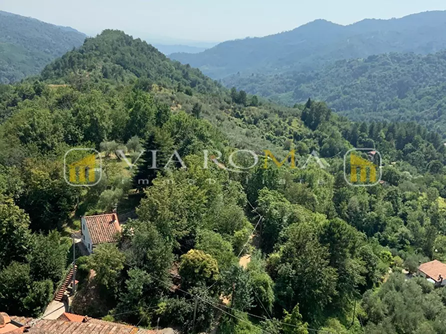 Immagine 12 di Terratetto in vendita  a Pescia