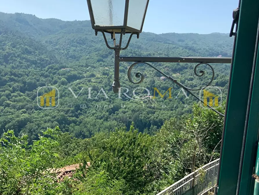 Immagine 20 di Terratetto in vendita  a Pescia