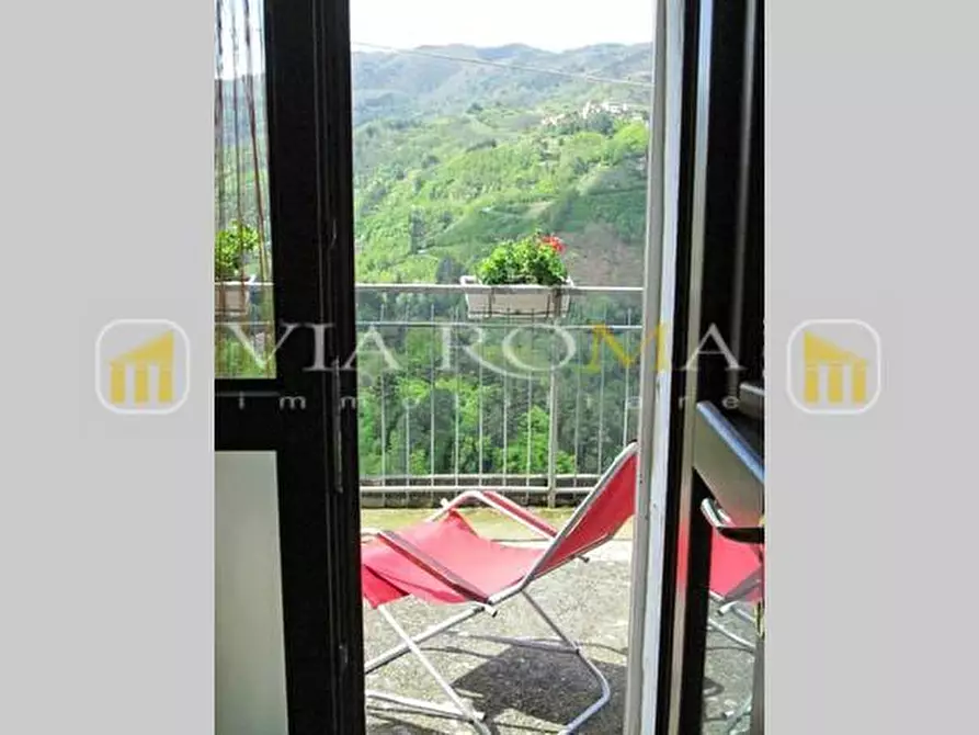 Immagine 42 di Terratetto in vendita  a Pescia