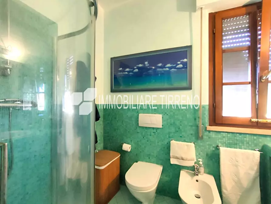 Immagine 19 di Villa in vendita  a Massa