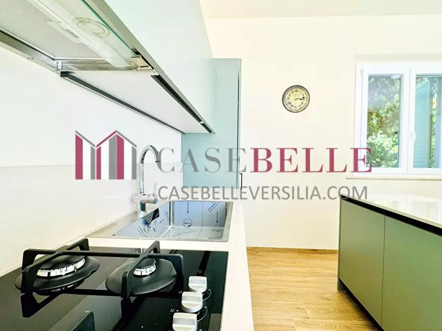 Immagine 4 di Villa in affitto  a Forte Dei Marmi