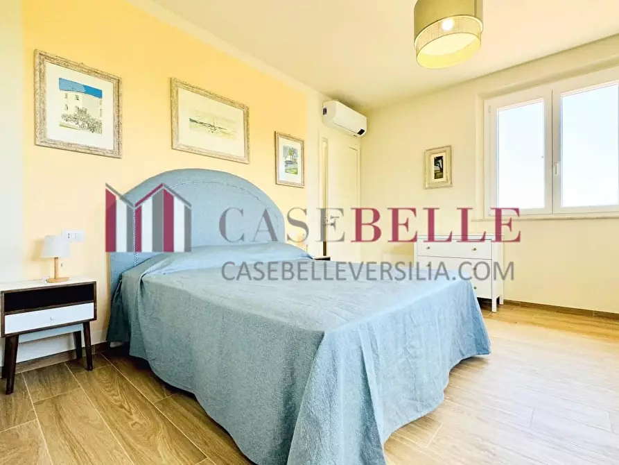 Immagine 41 di Villa in affitto  a Forte Dei Marmi