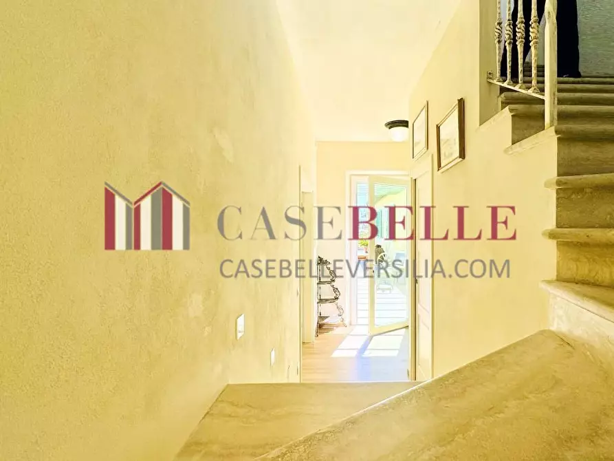 Immagine 45 di Villa in affitto  a Forte Dei Marmi