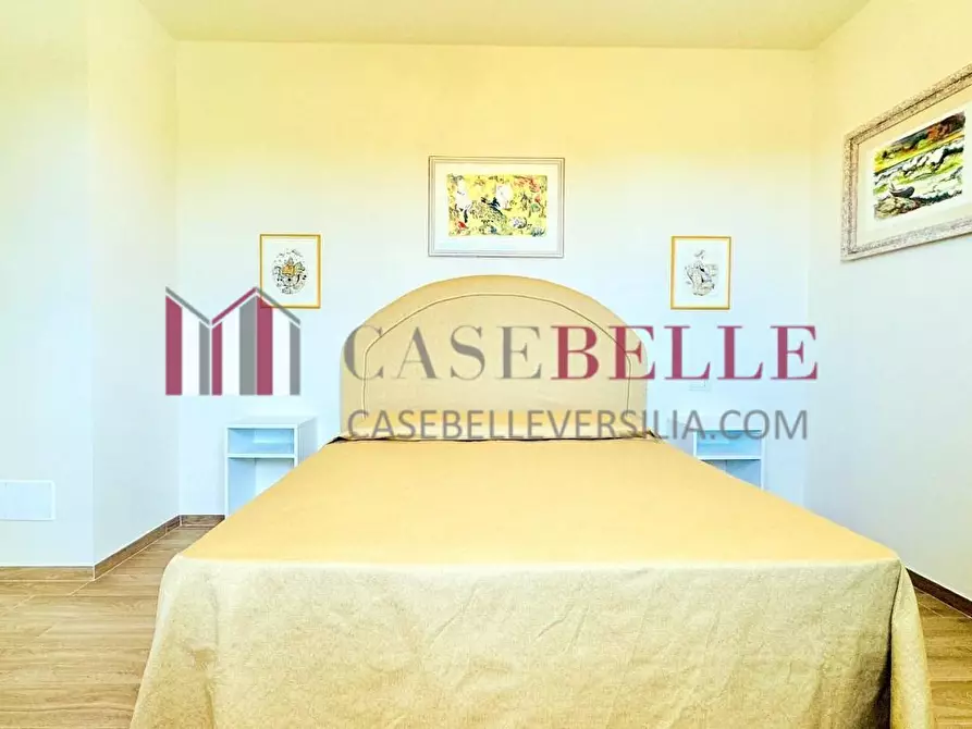 Immagine 30 di Villa in affitto  a Forte Dei Marmi