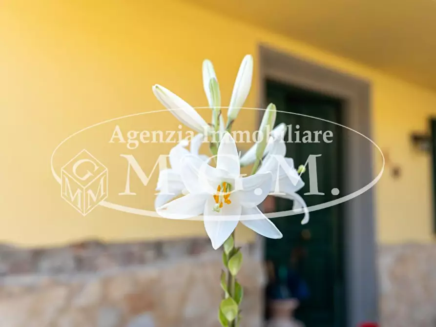 Immagine 26 di Porzione di casa in vendita  a Santa Maria A Monte