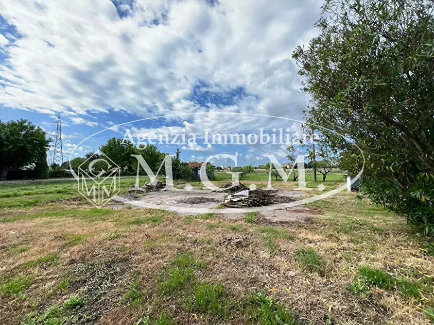 Immagine 15 di Porzione di casa in vendita  a Castelfranco Di Sotto