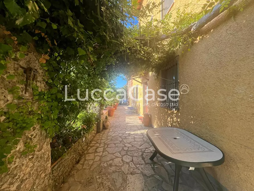 Immagine 31 di Rustico / casale in vendita  a Capannori