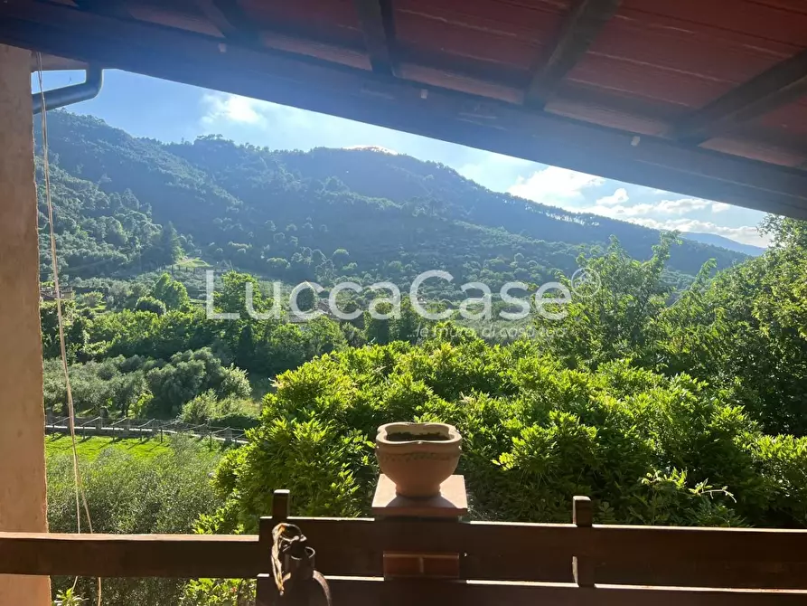 Immagine 7 di Rustico / casale in vendita  a Capannori