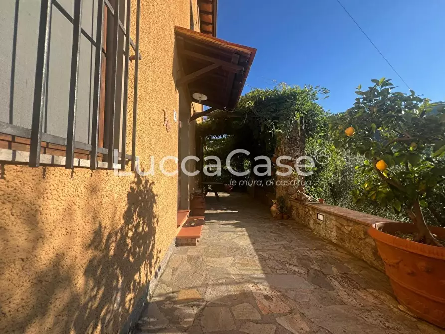 Immagine 32 di Rustico / casale in vendita  a Capannori