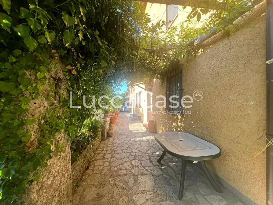 Immagine 30 di Rustico / casale in vendita  a Capannori