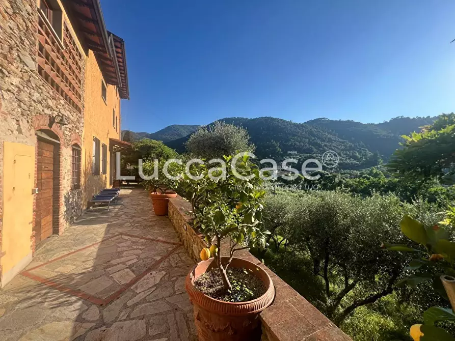 Immagine 33 di Rustico / casale in vendita  a Capannori