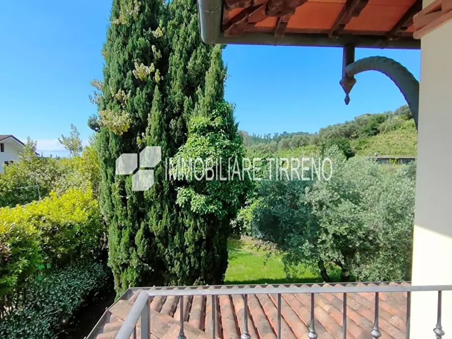 Immagine 17 di Villa in vendita  a Massa