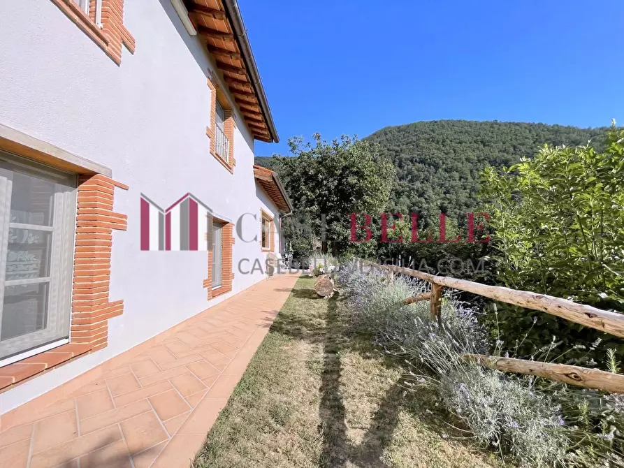 Immagine 49 di Casa indipendente in vendita  a Camaiore
