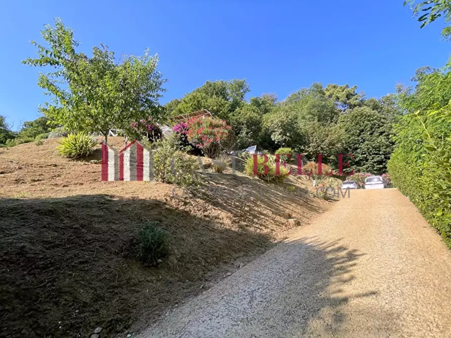 Immagine 66 di Casa indipendente in vendita  a Camaiore