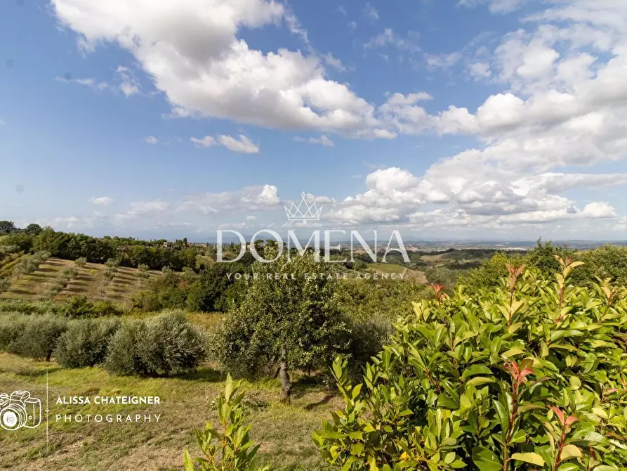 Immagine 13 di Villa in vendita  a Montaione