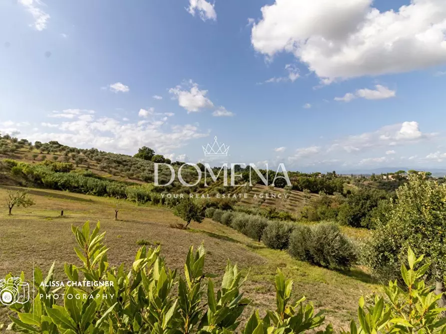 Immagine 14 di Villa in vendita  a Montaione