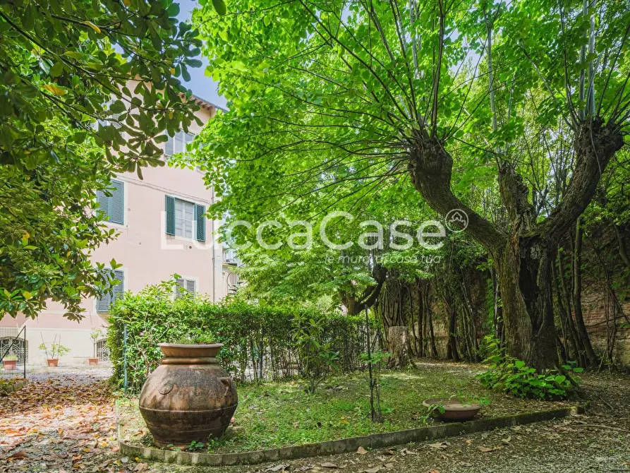 Immagine 50 di Villa in vendita  a Lucca