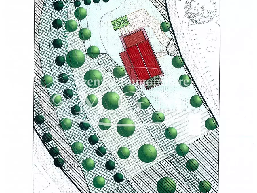 Immagine 8 di Villa in vendita  a Santa Maria A Monte