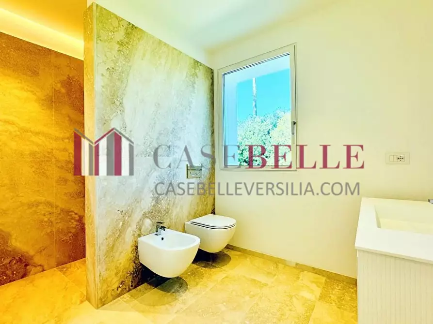 Immagine 35 di Villa in vendita  a Pietrasanta