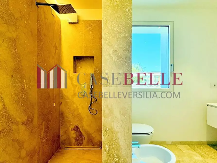 Immagine 39 di Villa in vendita  a Pietrasanta