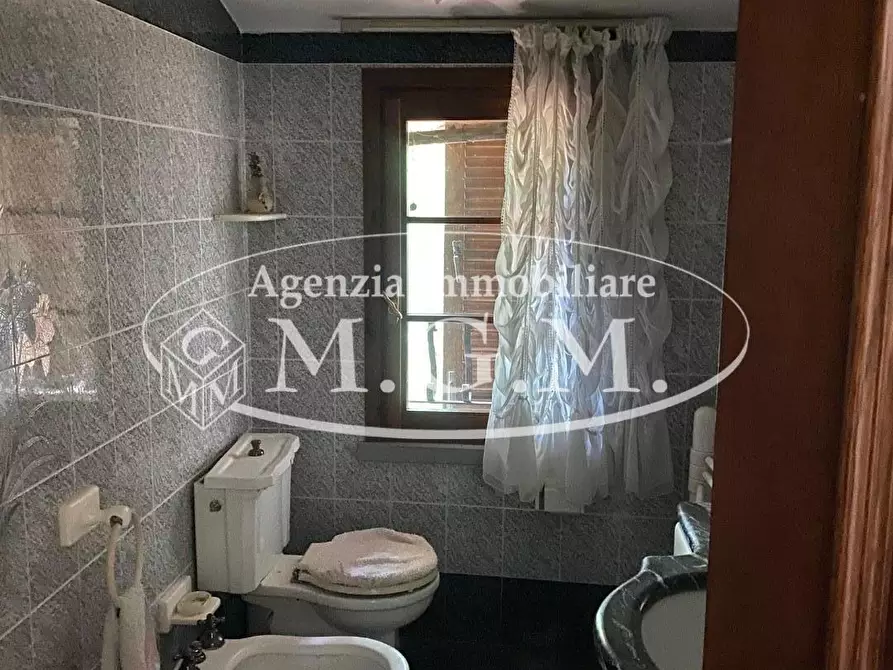 Immagine 30 di Casa colonica in vendita  a Palaia